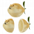 SlnaOmacka 